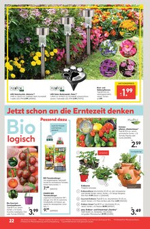 Heilpflanzen im Hellweg Prospekt "Die Profi-Baumärkte" mit 24 Seiten (Dortmund)