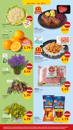 Hornveilchen Angebot im aktuellen Penny Prospekt auf Seite 36