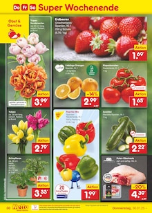 Blumen im Netto Marken-Discount Prospekt "Aktuelle Angebote" mit 59 Seiten (Wolfsburg)