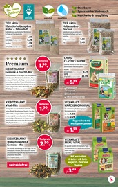 Kräuter im Kiebitzmarkt Prospekt in Cottbus Aktueller Kiebitzmarkt Prospekt mit Kräuter, "Badespaß an Sommertagen?", Seite 7