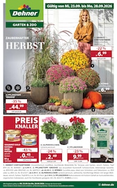 Tierfutter im Dehner Garten-Center Prospekt in Kassel Aktueller Dehner Garten-Center Prospekt mit Tierfutter, "ZAUBERHAFTER HERBST", Seite 1