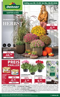 Kürbis im aktuellen Dehner Garten-Center Prospekt (Darmstadt) Kürbis im Dehner Garten-Center Prospekt "ZAUBERHAFTER HERBST" mit 16 Seiten (Darmstadt)