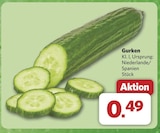 Gurken bei combi im Hinte Prospekt für 0,49 €