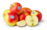 Deutschland Äpfel bei Penny-Markt im Bad Segeberg Prospekt für 1,69 €