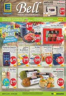 Cola im EDEKA Prospekt "Aktuelle Angebote" mit 28 Seiten (Bornheim)