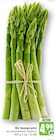 Bio Spargel grün Angebote bei E center Schwäbisch Gmünd für 4,99 €