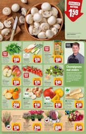 Aktueller REWE Prospekt mit Chrysantheme, "Dein Markt", Seite 11