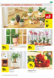 Prix et réduction Bouquet De Fleurs dans le prospectus Carrefour Market en cours Offre Bouquet De Fleurs dans le catalogue Carrefour Market du moment à la page 11