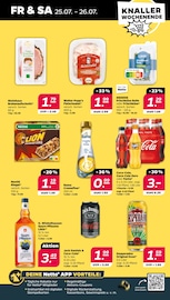 Braten im Netto mit dem Scottie Prospekt in Halle Aktueller Netto mit dem Scottie Prospekt mit Braten, "Günstig. Besser. Für Dich.", Seite 31