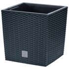 Prosperplast Blumentopf RATO LOW im Angebot bei POCO in Dresden Prosperplast Blumentopf RATO LOW Angebote bei POCO Dresden für 21,99 €