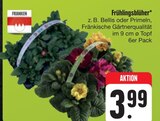 Frühlingsblüher bei E center im Roth Prospekt für 3,99 €