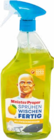 Reiniger im Netto Marken-Discount Prospekt Reiniger von Meister Proper im aktuellen Netto Marken-Discount Prospekt für 2,29 €