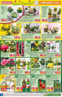 Feuerwerk im Norma Prospekt "Mehr fürs Geld" mit 20 Seiten (Mannheim)