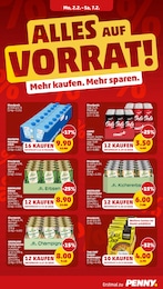 Penny Pilze im Prospekt 