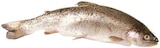 Aktuelle Fisch Angebote bei REWE in Kassel Aktuelles Forelle Angebot bei REWE in Kassel ab 1,19 €