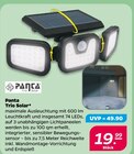Trio Solar von Panta im aktuellen Netto mit dem Scottie Prospekt für 19,99 €