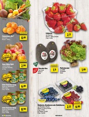 Tierbedarf im EDEKA Prospekt in Gelsenkirchen Aktueller EDEKA Prospekt mit Tierbedarf, "Aktuelle Angebote", Seite 6