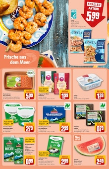 Garnelen im aktuellen REWE Prospekt (Augsburg) Garnelen im REWE Prospekt "Dein Markt" mit 34 Seiten (Augsburg)