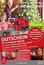 Blumen Risse Prospekt "Vorfreude in der Adventszeit", 8 Seiten, für Leverkusen, 21.11.2019 - 29.11.2019 Blumen Risse Prospekt "Vorfreude in der Adventszeit", 8 Seiten, für Leverkusen, 21.11.2019 - 29.11.2019