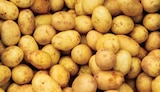Pommes de terre Nouvelle Récolte Avanti/Primabelle - Norma à Mulhouse Pommes de terre Nouvelle Récolte Avanti/Primabelle en promo chez Norma Mulhouse à 3,49 €