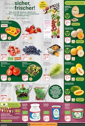 Aktueller GLOBUS Prospekt mit Erdbeeren, "Aktuelle Angebote", Seite 9