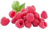 Himbeeren Angebote bei REWE Sankt Augustin für 1,99 €
