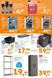 Regal im Globus-Baumarkt Prospekt in Haltern am See Aktueller Globus-Baumarkt Prospekt mit Regal, "Immer eine Idee besser", Seite 5