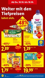 Aktueller Lidl Prospekt mit Maggi, "LIDL LOHNT SICH", Seite 60