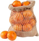 Clementinen Angebot in Alsheim Clementinen im aktuellen Prospekt bei REWE in Alsheim