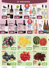 Erdbeeren im aktiv & irma Prospekt in Oldenburg Aktueller aktiv & irma Prospekt mit Erdbeeren, "Top Angebote", Seite 2