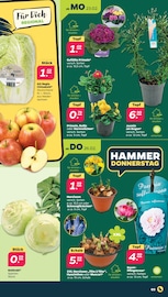 Aktueller Netto mit dem Scottie Prospekt mit Pflanzen, "Günstig. Besser. Für Dich.", Seite 3