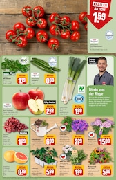 REWE Pflanzen im Prospekt 