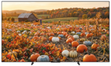 Aktuelles 4K UHD OLED-TV K65A69PB Angebot bei expert in Heidelberg ab 1.499,00 €
