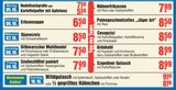 E center Itzehoe - Mittagstisch Angebot im Prospekt Mittagstisch bei E center im Itzehoe Prospekt für 5,50 €