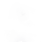 Aktuelle Erdbeeren Angebote bei REWE in Ingolstadt Aktuelles BONut Erdbeere Angebot bei REWE in Ingolstadt ab 1,00 €