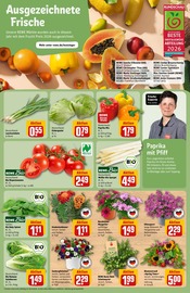 Blumen im REWE Prospekt in Neuwied Aktueller REWE Prospekt mit Blumen, "Dein Markt", Seite 7