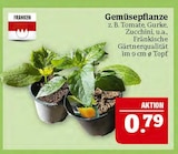 Aktuelles Gemüsepflanze Angebot bei Marktkauf in Leipzig ab 0,79 €