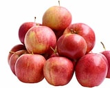 Äpfel im Pflanzen Kölle Prospekt Frische Äpfel im aktuellen Pflanzen Kölle Prospekt für 2,99 €