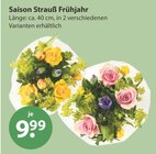 Deko Blumen im V-Markt Prospekt Saison Strauß Frühjahr im aktuellen V-Markt Prospekt für 9,99 €