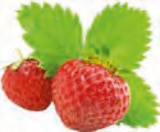 Almighurt Erdbeere Angebote von Ehrmann bei EDEKA Pinneberg für 1,11 €