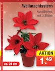Weihnachtsstern Angebote bei Zimmermann Goslar für 1,49 €