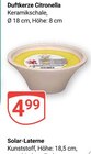 Duftkerze Citronella Angebote bei GLOBUS Saarlouis für 4,99 €