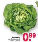 Aktuelle Salat Angebote bei E center in Frankfurt (Main) Aktuelles Kopfsalat Angebot bei E center in Frankfurt (Main) ab 0,99 €