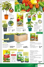 Aktueller BayWa Bau- und Gartenmärkte Prospekt mit Saatgut, "Jubiläums-angebote", Seite 5