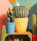 Promo Cactus artificiel en pot à 22,99 € dans le catalogue B&M à Haguenau