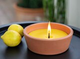 Hagebaumarkt Rostock - Duftkerze „Citronella“ Angebot im Prospekt Duftkerze „Citronella“ bei Hagebaumarkt im Rostock Prospekt für 6,99 €