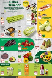 Erdbeeren im GLOBUS Prospekt in Maintal Aktueller GLOBUS Prospekt mit Erdbeeren, "Aktuelle Angebote", Seite 4