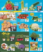 Dekoration im EDEKA Prospekt in Augsburg Aktueller EDEKA Prospekt mit Dekoration, "Wir lieben Lebensmittel.", Seite 2