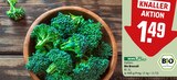 Bio Broccoli Angebote von REWE Bio bei REWE Falkensee für 1,49 €