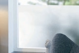 Fensterfolie von FOSSEN für 6,00 € bei JYSK im Angebot Fensterfolie von FOSSEN im aktuellen JYSK Prospekt
